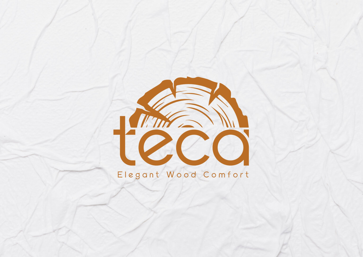 TECA LOGO BRANDING-02